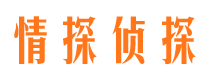 天峨侦探公司